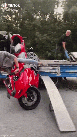 daily gifdump 40 gifs 2.html - 1 HD GIF | Premium Gallery 2026