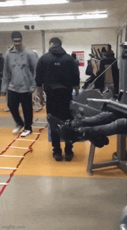 daily gifdump 40 gifs 2.html - 1 HD GIF | Premium Gallery 2026