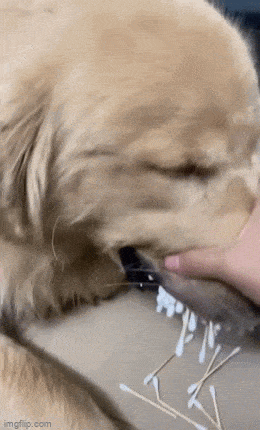 daily gifdump 40 gifs 2.html - 1 HD GIF | Premium Gallery 2026