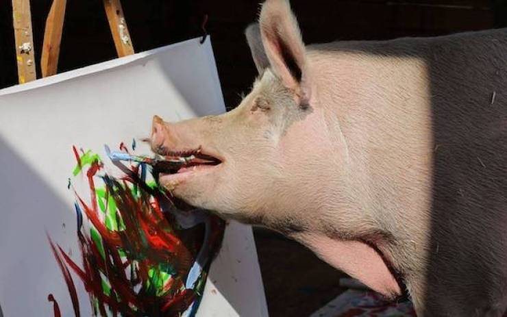 daily picdump 34 pics 2.html - 34 HD Photos | Premium Gallery 2026