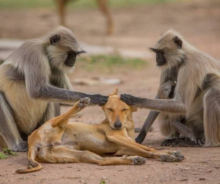 daily picdump 34 pics 2.html - 34 HD Photos | Premium Gallery 2026