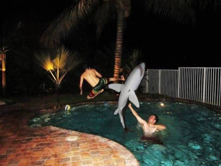 daily picdump 34 pics 2.html - 34 HD Photos | Premium Gallery 2026