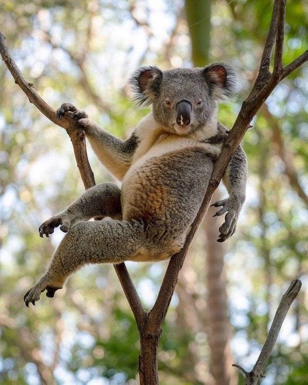 daily picdump 34 pics 2.html - 34 HD Photos | Premium Gallery 2026