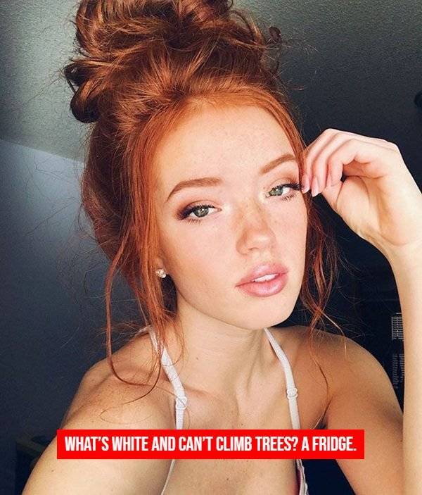 girls give us your best jokes 38 pics 2.html - 38 HD Photos | Premium Gallery 2026