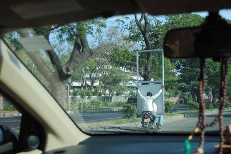 Daily Picdump