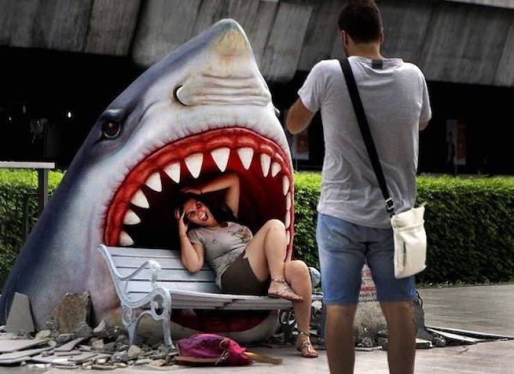 Daily Picdump