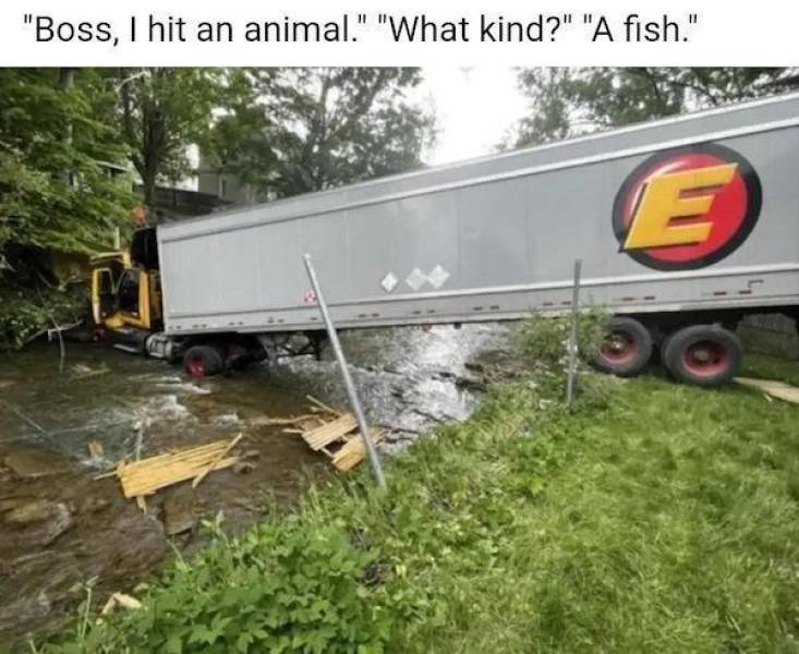 daily picdump 40 pics 5.html - 40 HD Photos | Premium Gallery 2026