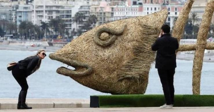 daily picdump 40 pics 5.html - 40 HD Photos | Premium Gallery 2026