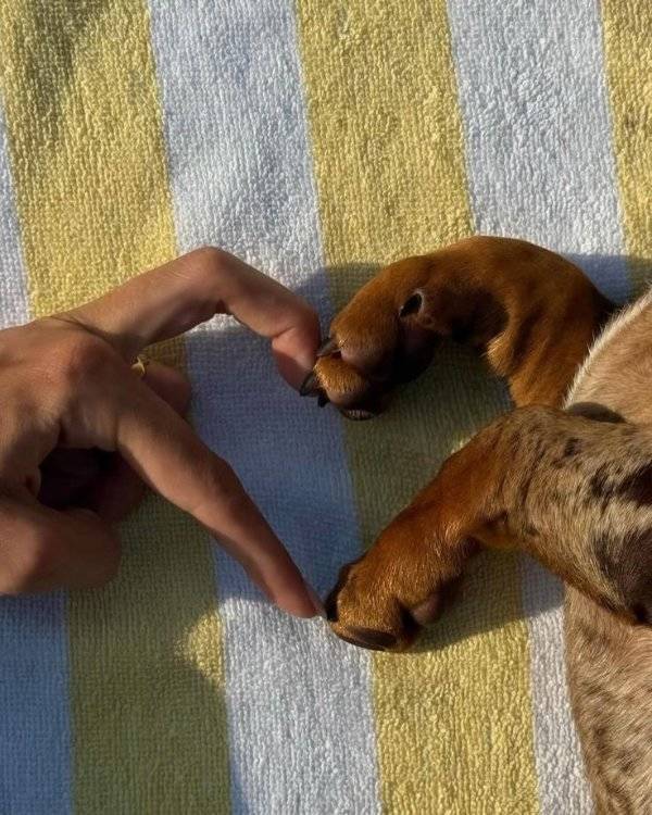 Daily Picdump