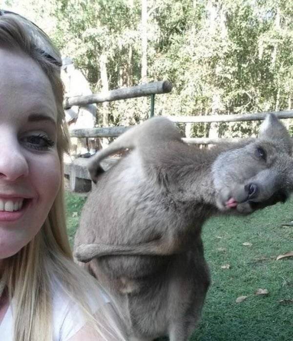 daily picdump 40 pics 5.html - 40 HD Photos | Premium Gallery 2026