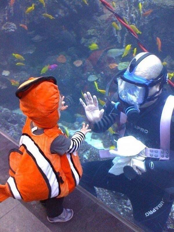 daily picdump 40 pics 5.html - 40 HD Photos | Premium Gallery 2026