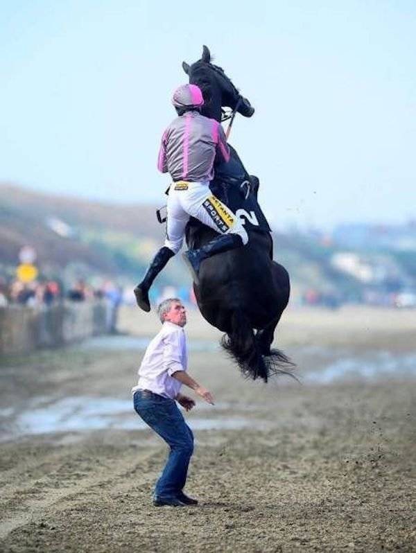 daily picdump 40 pics 5.html - 40 HD Photos | Premium Gallery 2026