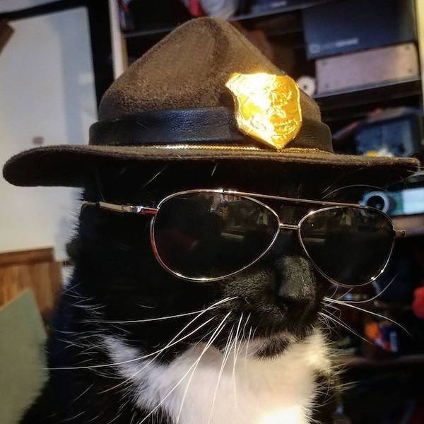 Daily Picdump