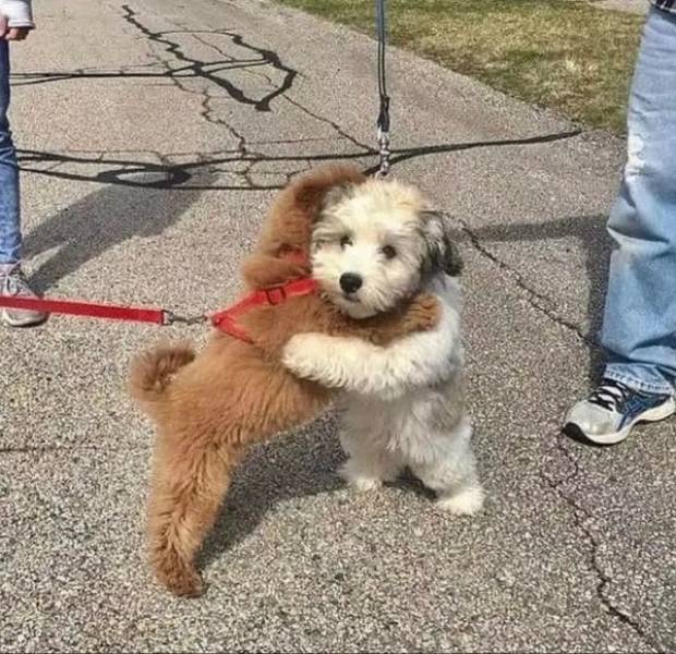 Daily Picdump