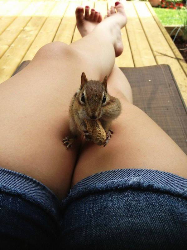 Daily Picdump