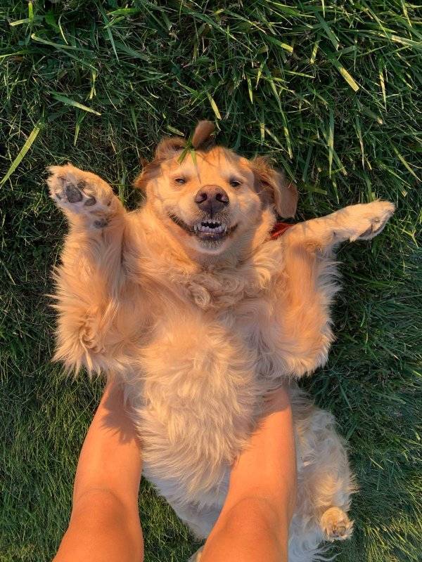 Daily Picdump