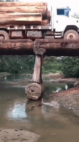 Daily Gifdump