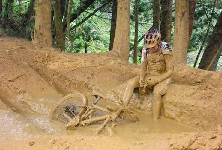 Daily Picdump