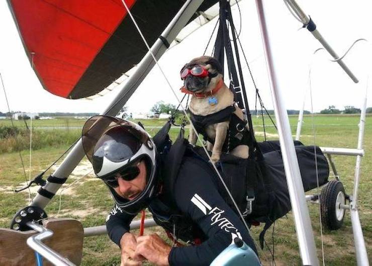 Daily Picdump