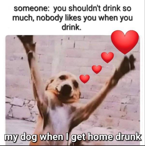 Drinking Never Ends!