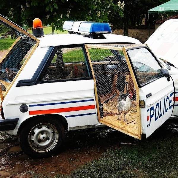 Daily Picdump