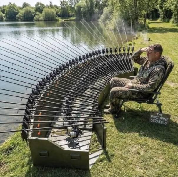 daily picdump 41 pics 1.html - 41 HD Photos | Premium Gallery 2026
