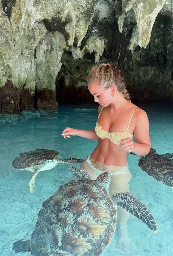 Daily Picdump