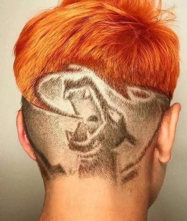 daily picdump 41 pics 1.html - 41 HD Photos | Premium Gallery 2026