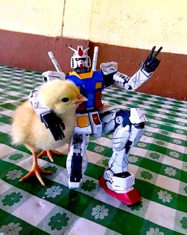 daily picdump 41 pics 1.html - 41 HD Photos | Premium Gallery 2026
