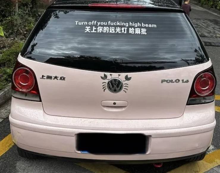 dirty dump for dirty minds 40 pics 1.html - 40 HD Photos | Premium Gallery 2026