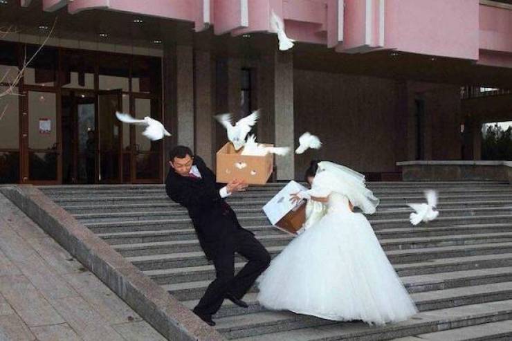 Daily Picdump
