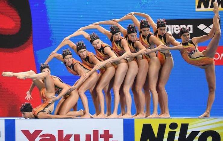 daily picdump 44 pics 17.html - 44 HD Photos | Premium Gallery 2026