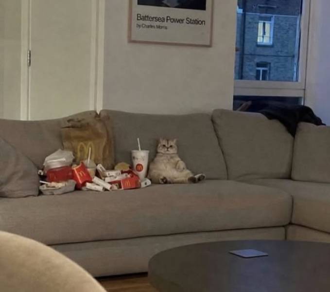 daily picdump 44 pics 17.html - 44 HD Photos | Premium Gallery 2026