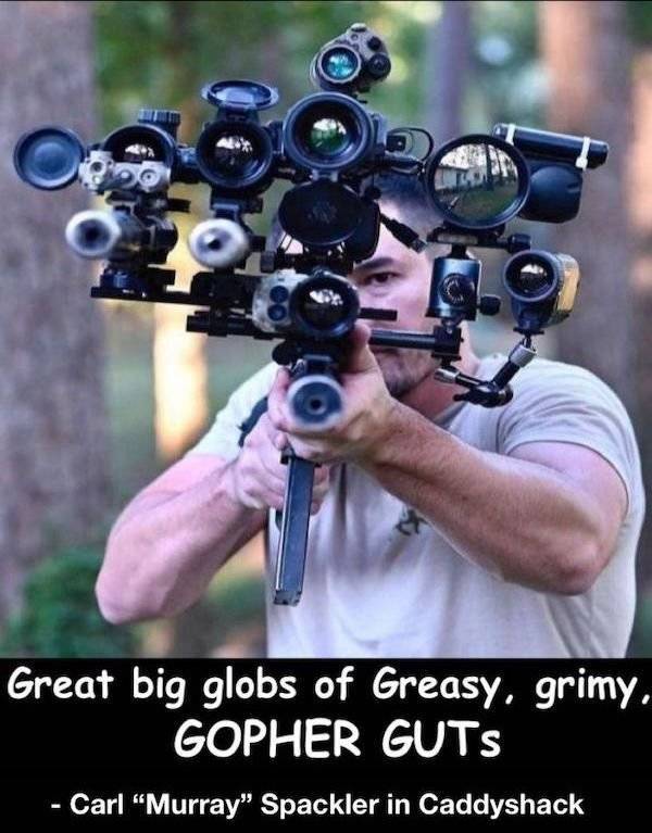 daily picdump 44 pics 17.html - 44 HD Photos | Premium Gallery 2026