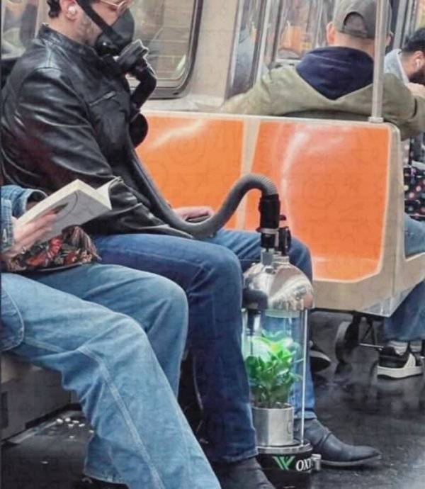 daily picdump 44 pics 17.html - 44 HD Photos | Premium Gallery 2026