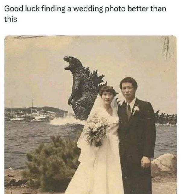 daily picdump 44 pics 17.html - 44 HD Photos | Premium Gallery 2026