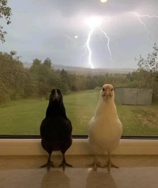 daily picdump 44 pics 17.html - 44 HD Photos | Premium Gallery 2026