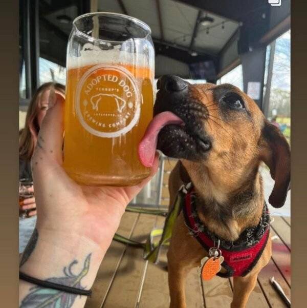 cheers everyone 31 pics 13.html - 31 HD Photos | Premium Gallery 2026