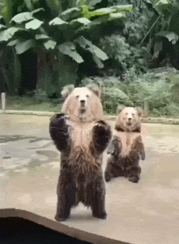 daily gifdump 35 gifs 1.html - 1 HD GIF | Premium Gallery 2026