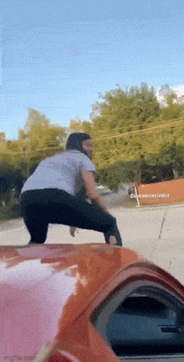 daily gifdump 35 gifs 1.html - 1 HD GIF | Premium Gallery 2026