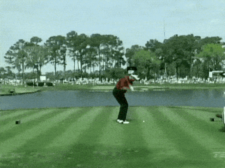 daily gifdump 35 gifs 1.html - 1 HD GIF | Premium Gallery 2026