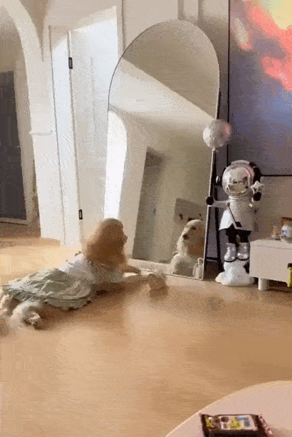 daily gifdump 35 gifs 1.html - 1 HD GIF | Premium Gallery 2026