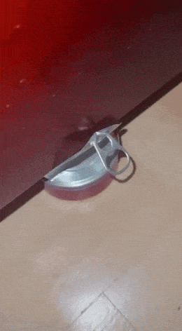 daily gifdump 35 gifs 1.html - 1 HD GIF | Premium Gallery 2026
