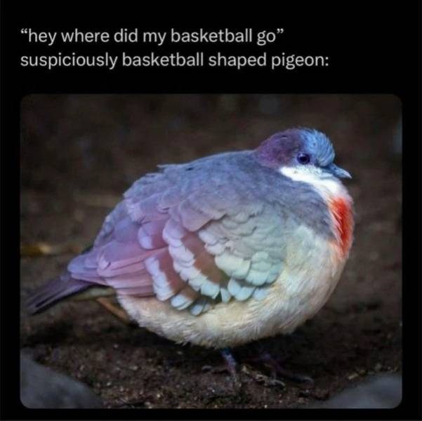 So Dank It Should Be Illegal
