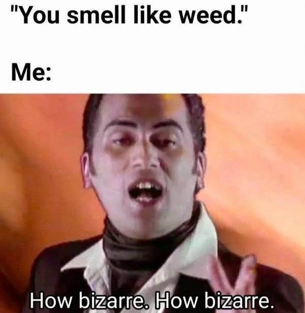 So Dank It Should Be Illegal