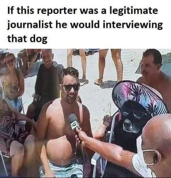 So Dank It Should Be Illegal