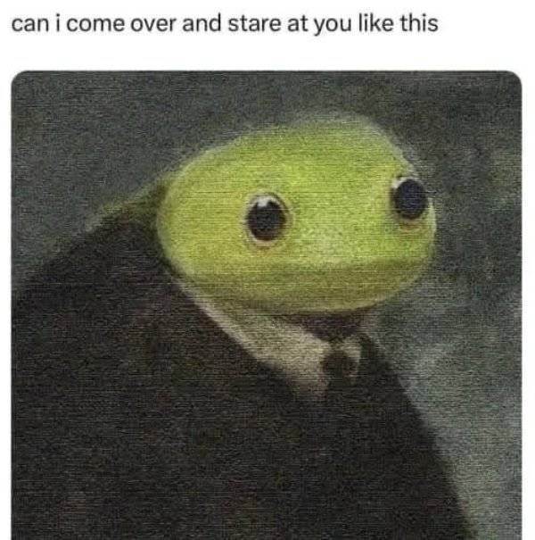 So Dank It Should Be Illegal