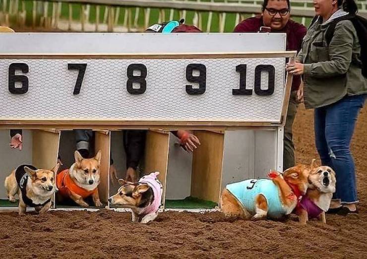 Daily Picdump