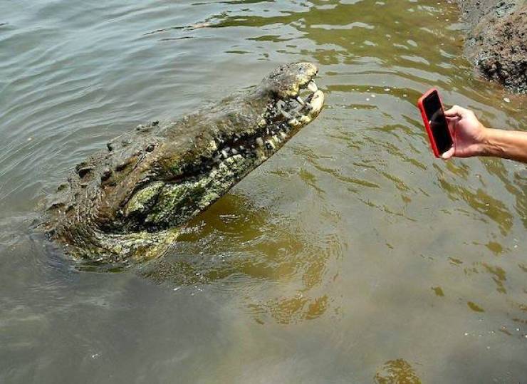 daily picdump 36 pics 14.html - 36 HD Photos | Premium Gallery 2026