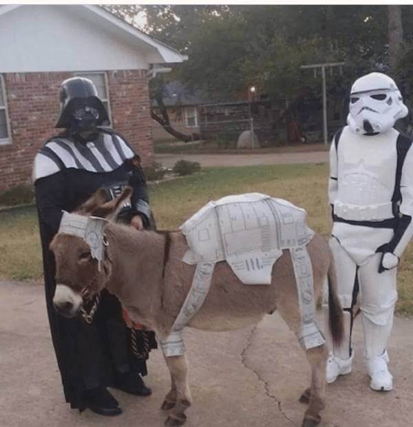 Daily Picdump